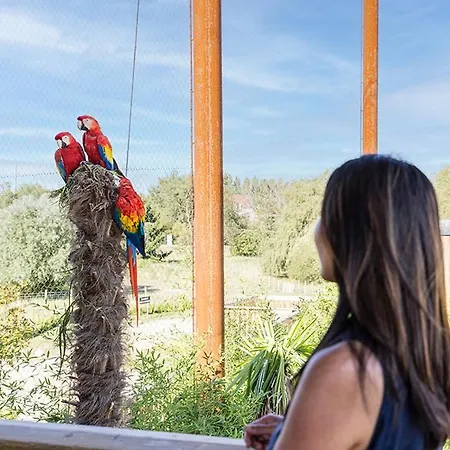 Parrot World - Les Lodges Crecy-la-Chapelle Exterior photo
