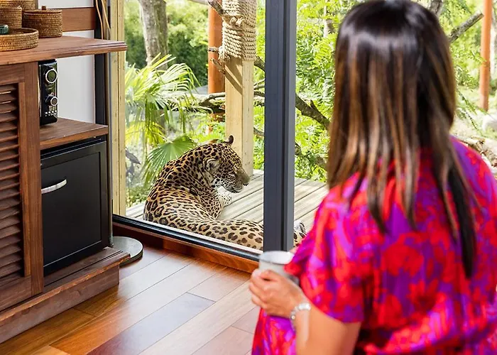 Parrot World - Les Lodges