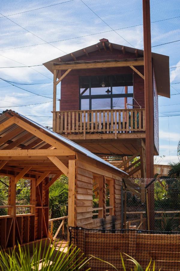 Parrot World - Les Lodge