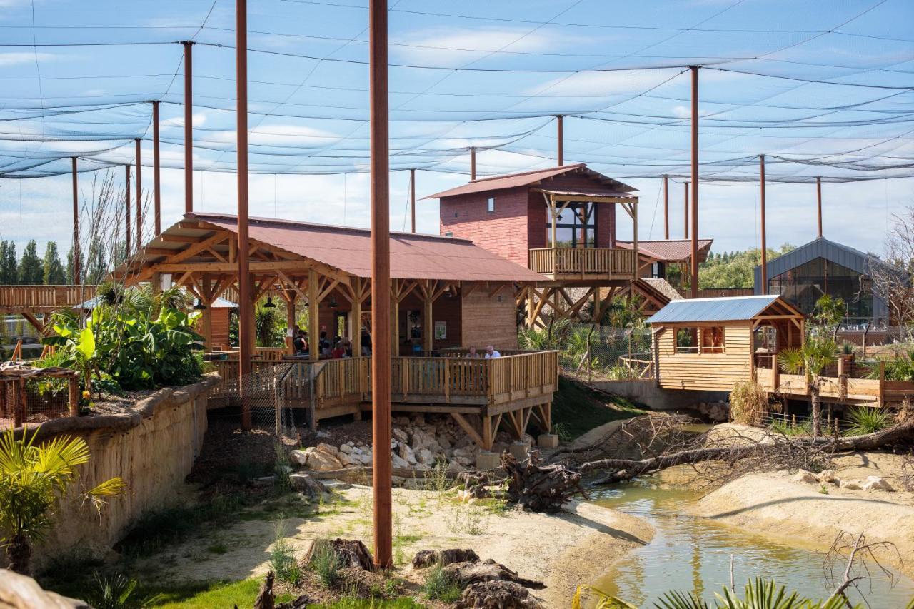 Lodge Parrot World - Les *