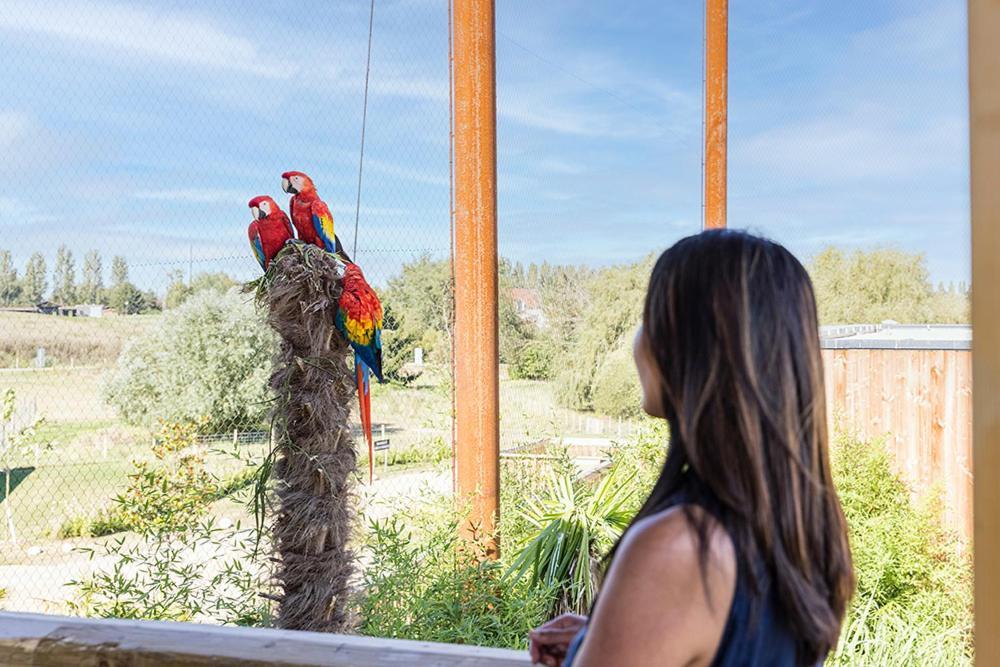 Parrot World - Les Lodge Crécy-la-Chapelle
