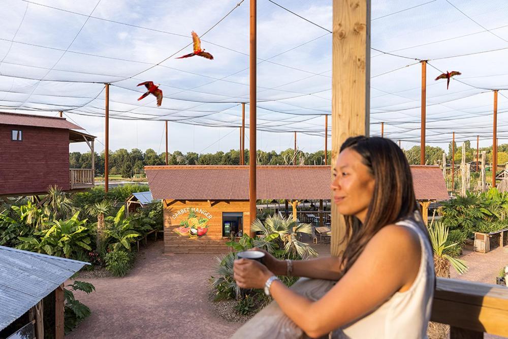 Lodge Parrot World - Les