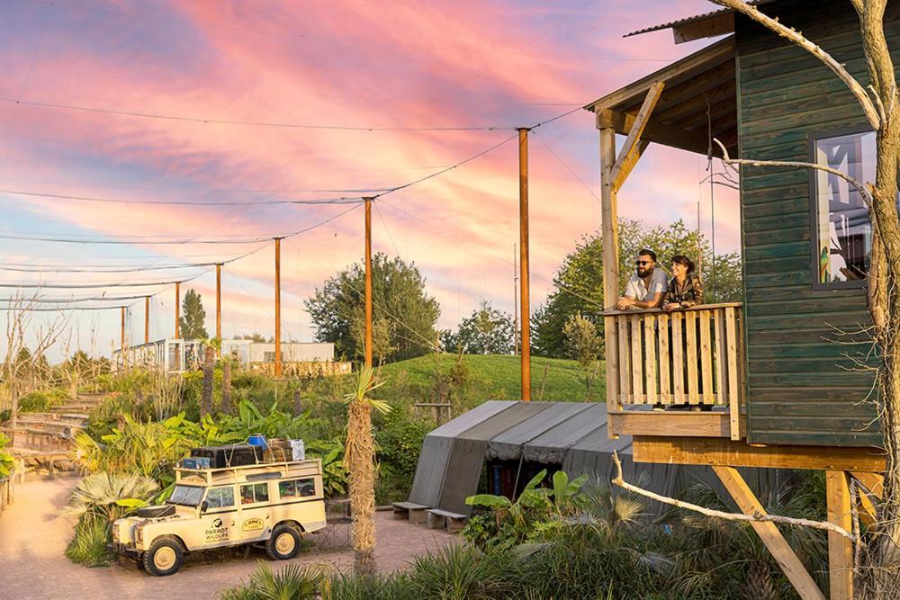 Lodge Parrot World - Les