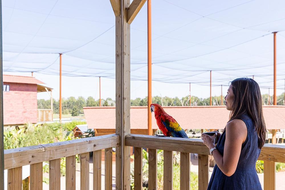 Parrot World - Les Crecy-la-Chapelle