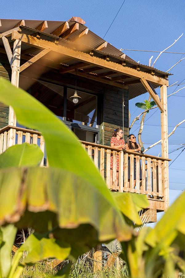 Parrot World - Les Lodge *